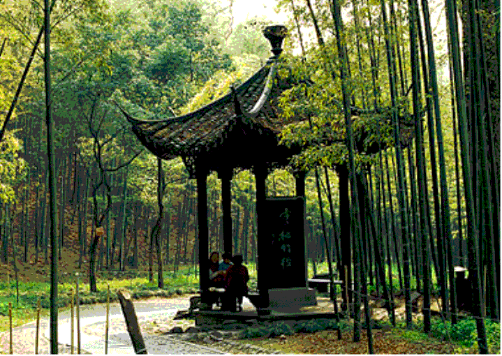 天富平台登录注册